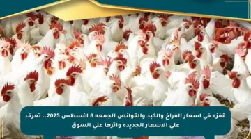 قفزة في أسعار الفراخ والكبد والقوانص الجمعة 8 أغسطس 2025.. تعرف على الأسعار الجديدة وأثرها على السوق